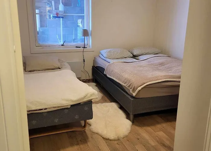 Nydelig Med Naerhet Til Og Nordlys Tromsø