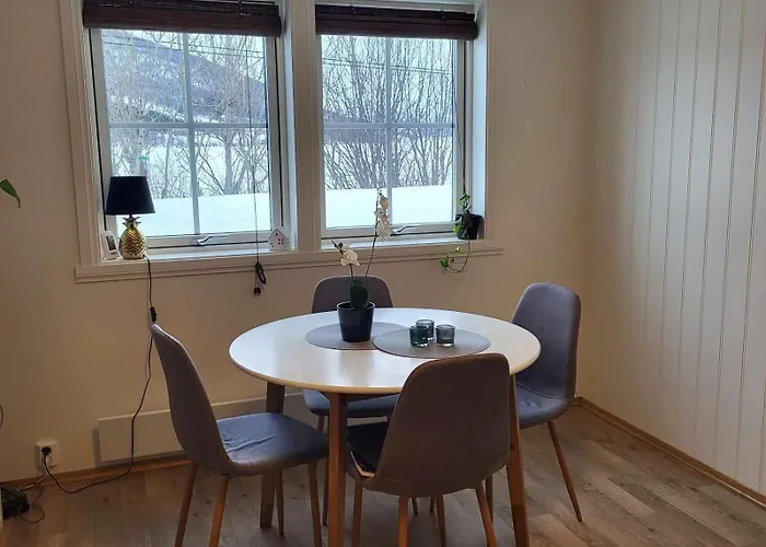 Appartement Nydelig Med Naerhet Til Og Nordlys Tromsø