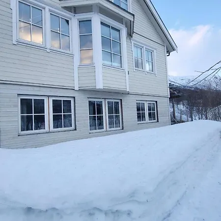 Nydelig Med Naerhet Til Og Nordlys Tromso